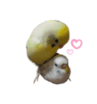 癒しの子♡（個別スタンプ：13）
