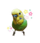 癒しの子♡（個別スタンプ：16）