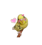 癒しの子♡（個別スタンプ：22）
