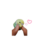 癒しの子♡（個別スタンプ：27）