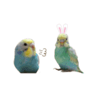 癒しの子♡（個別スタンプ：29）