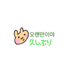 使える韓国語(日本語)2（個別スタンプ：11）