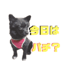 myucolon(◡̈)/3（個別スタンプ：1）