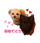 myucolon(◡̈)/3（個別スタンプ：6）
