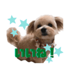 myucolon(◡̈)/3（個別スタンプ：7）