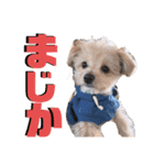 myucolon(◡̈)/3（個別スタンプ：8）