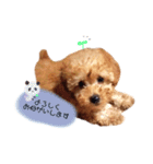 ココくん（個別スタンプ：4）