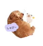 ココくん（個別スタンプ：8）