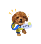 ココくん（個別スタンプ：9）