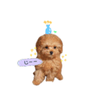 ココくん（個別スタンプ：10）