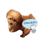 ココくん（個別スタンプ：12）