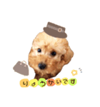 ココくん（個別スタンプ：13）