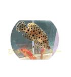 海の生物部専用スタンプ（個別スタンプ：10）