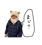 番犬さんスタンプ（個別スタンプ：17）