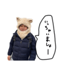 番犬さんスタンプ（個別スタンプ：19）