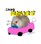 モコちゃん＆くーちゃん（個別スタンプ：8）