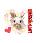 モコちゃん＆くーちゃん（個別スタンプ：12）