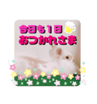 モコちゃん＆くーちゃん（個別スタンプ：19）