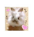 モコちゃん＆くーちゃん（個別スタンプ：24）