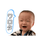 きゃわよしスタンプ（個別スタンプ：26）