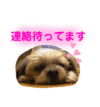ぷぅちゃん❤️ぼぅくん（個別スタンプ：8）
