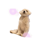 だいふく2です（個別スタンプ：3）