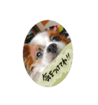 マロンくんの日常だよ（個別スタンプ：11）