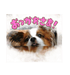 マロンくんの日常だよ（個別スタンプ：16）