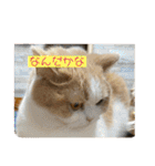 そらてんのこつくむぎ1（個別スタンプ：1）