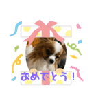 そらてんのこつくむぎ1（個別スタンプ：3）