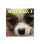 そらてんのこつくむぎ1（個別スタンプ：5）