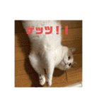 そらてんのこつくむぎ1（個別スタンプ：6）