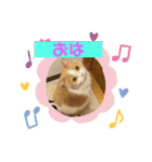 そらてんのこつくむぎ1（個別スタンプ：7）