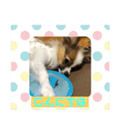 そらてんのこつくむぎ1（個別スタンプ：8）