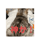 そらてんのこつくむぎ1（個別スタンプ：9）