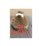そらてんのこつくむぎ1（個別スタンプ：10）