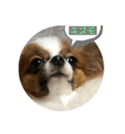 そらてんのこつくむぎ1（個別スタンプ：11）