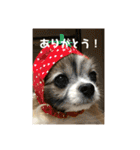 そらてんのこつくむぎ1（個別スタンプ：12）