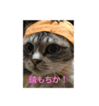 そらてんのこつくむぎ1（個別スタンプ：13）
