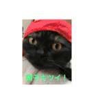 そらてんのこつくむぎ1（個別スタンプ：14）