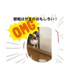 そらてんのこつくむぎ1（個別スタンプ：15）