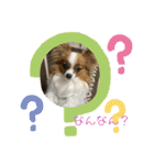 そらてんのこつくむぎ1（個別スタンプ：16）