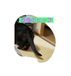 そらてんのこつくむぎ1（個別スタンプ：18）