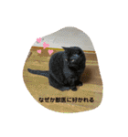 そらてんのこつくむぎ1（個別スタンプ：20）
