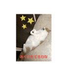 そらてんのこつくむぎ1（個別スタンプ：22）