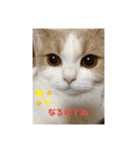 そらてんのこつくむぎ1（個別スタンプ：23）
