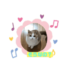 そらてんのこつくむぎ1（個別スタンプ：24）