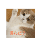そらてんのこつくむぎ1（個別スタンプ：25）