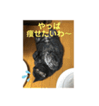 そらてんのこつくむぎ1（個別スタンプ：26）