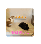 そらてんのこつくむぎ1（個別スタンプ：28）